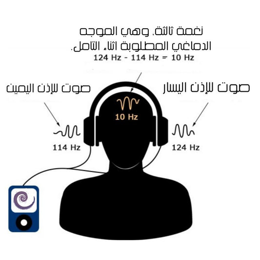 الموجات الدماغية